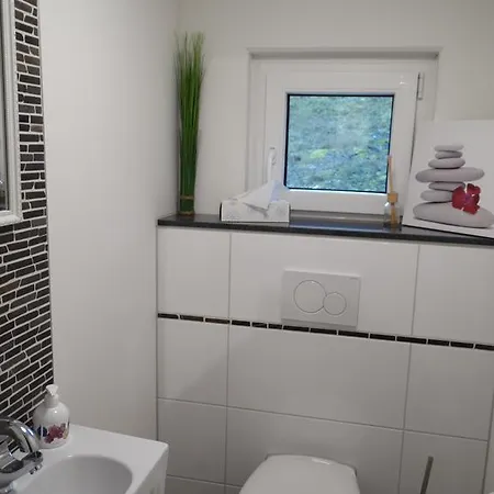 Apartament Eifel & See Am Waldsee Rieden Eifel Mayen
