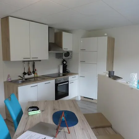 Apartament Eifel & See Am Waldsee Rieden Eifel Mayen